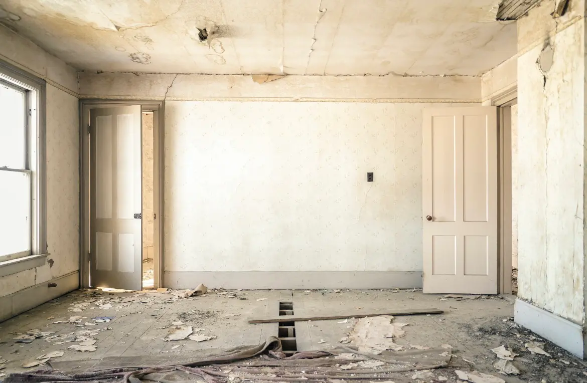 Waste disposal crew managing a cleanout project in Jacinto City